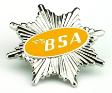 Picture of BSA Star Badge