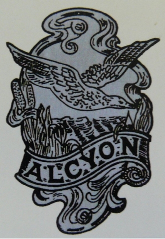 Picture of Alcyon Mudguard