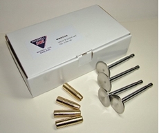 Picture of Valve and Guide SetsTriumph T100/100C/100S 500cc (1967-73) Complete Valve Guide set. Includes guides and valves.
