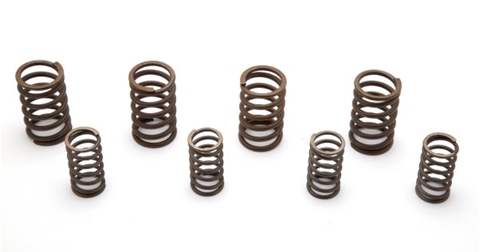 Picture of Valve Spring Sets