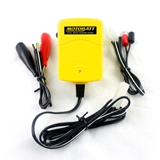 Picture of BATTERY Charger 6v/12v